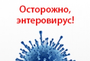 Профилактика энтеровирусной инфекции Профилактика энтеровирусной инфекции.